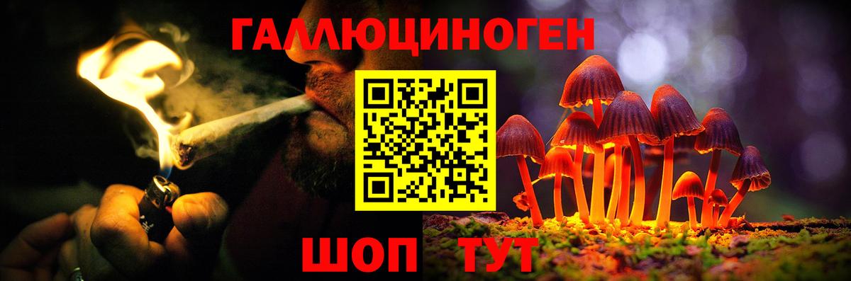Псилоцибиновые грибы ЛСД  Вход с VPN  Михайловка  Галлюциногенные грибы прущие грибы 