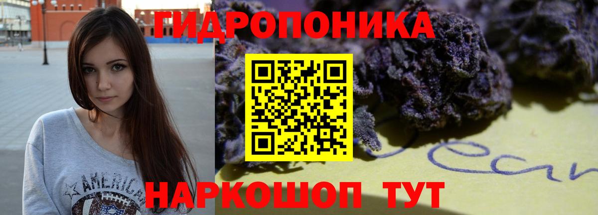 Шишки марихуана марихуана  Вход с VPN  Конопля LSD WEED  Михайловка  Бошки Шишки индика  Канабис индика 